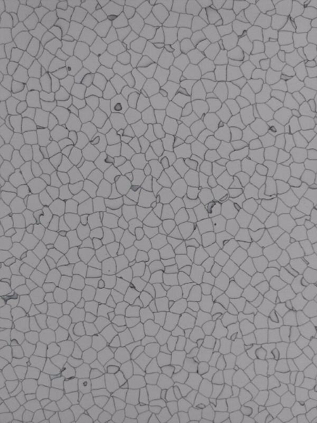 三明直鋪式PVC導(dǎo)靜電地板